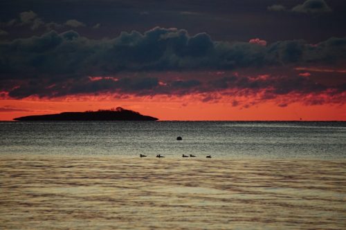 47 (1) (1) (1) (1) (1)