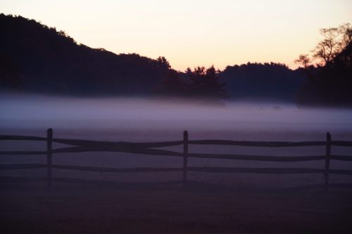 50 (1) (1) (1) (1) (1)