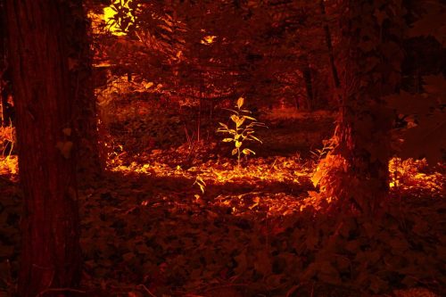 51 (1) (1) (1) (1) (1)