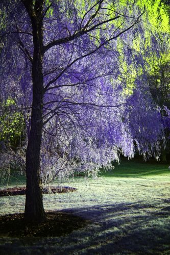 55 (1) (1) (1) (1) (1)