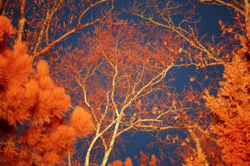 58 (1) (1) (1) (1) (1) (1)