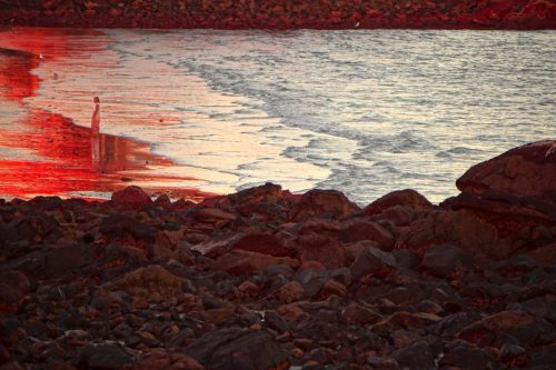 59 (1) (1) (1) (1) (1)