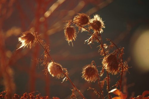 59 (1) (1) (1) (1) (1) (1)