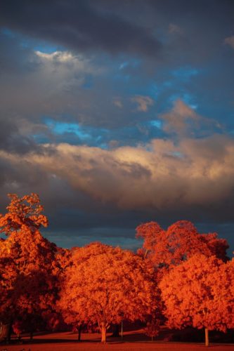 63 (1) (1) (1) (1) (1)