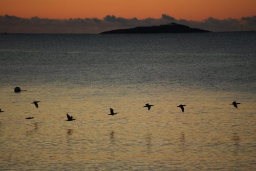 6 (1) (1) (1) (1) (1) (1)