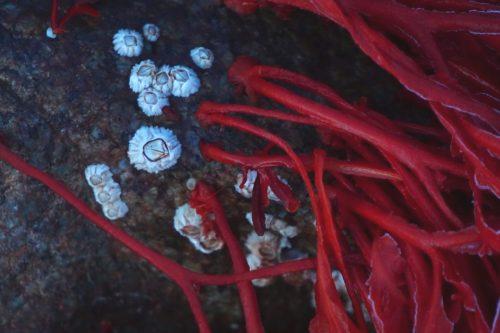 76 (1) (1) (1) (1) (1) (1)