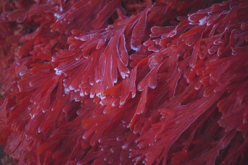 77 (1) (1) (1) (1) (1)