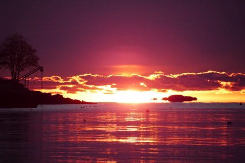 78 (1) (1) (1) (1) (1) (1)