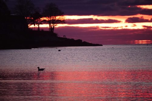 79 (1) (1) (1) (1) (1) (1)