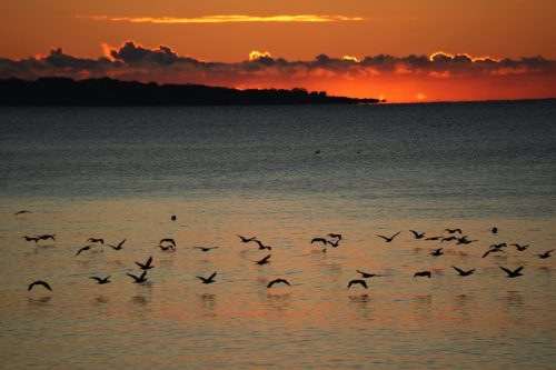 7 (1) (1) (1) (1) (1) (1)