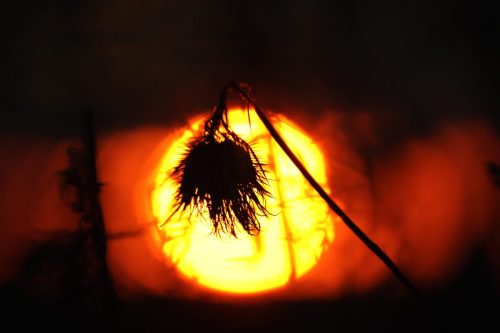 7 (1) (1) (1) (1) (1) (1) (1)