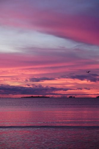 81 (1) (1) (1) (1) (1)