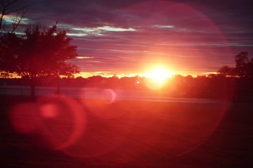 82 (1) (1) (1) (1) (1)