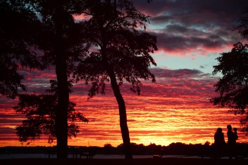 85 (1) (1) (1) (1) (1)