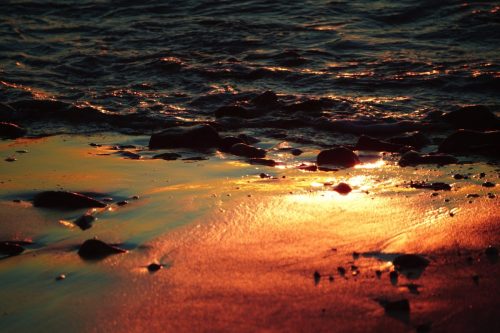 89 (1) (1) (1) (1) (1)