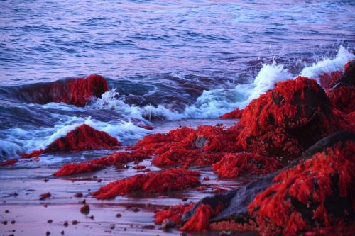 90 (1) (1) (1) (1) (1)