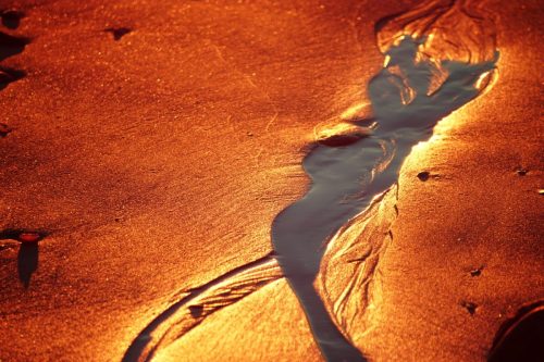 92 (1) (1) (1) (1) (1) (1)