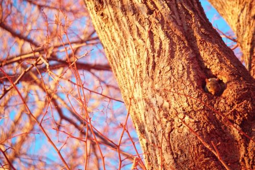 97 (1) (1) (1) (1) (1)