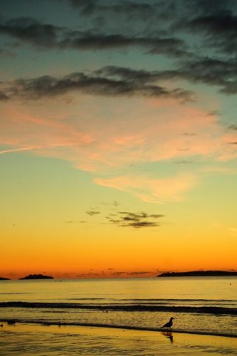 DSC08158 (1) (1) (1)