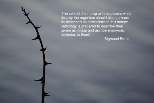 DSC08176 (1) (1) (1)