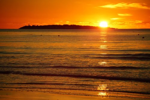 DSC08176 (1) (1) (1) (1)