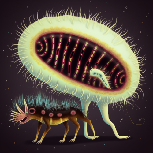 None 8d8cebc3-c87a-433d-bcc9-5d241224d923